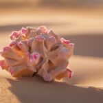 Desert Rose Stone: Crystal Meaning, Healing Properties and Zodiac Benefits